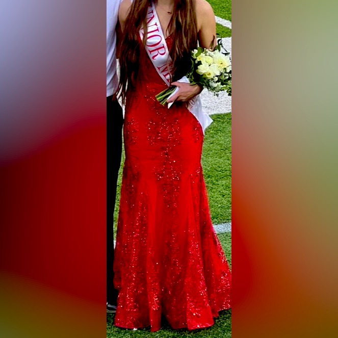 Juliet Long Red Dress, Size 4